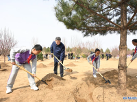 中 시 주석, 베이징 나무 심기 행사 참석