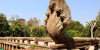 1~2월 캄보디아 앙코르와트 방문 中 관광객, 전년比 39% 감소