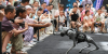 1~11월 中 대외무역 성적표 "우수"...일등공신은 민영기업