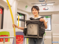 中 홍콩, 경전철 반려동물 동반 탑승 정규화